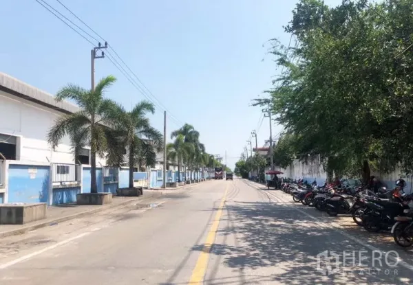 คลังสินค้า ให้เช่าในBang Sao Thong, Samut Prakan - ถนนนิคมกว้างเรียงรายด้วยต้นปาล์ม มีที่จอดรถริมทาง