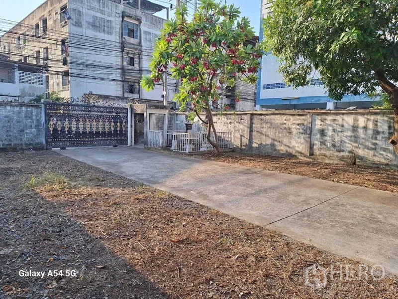独立式住宅 出租在Bang Na, Bangkok - 围墙庭院内的长车道，成树成荫，尽头为装饰大门。