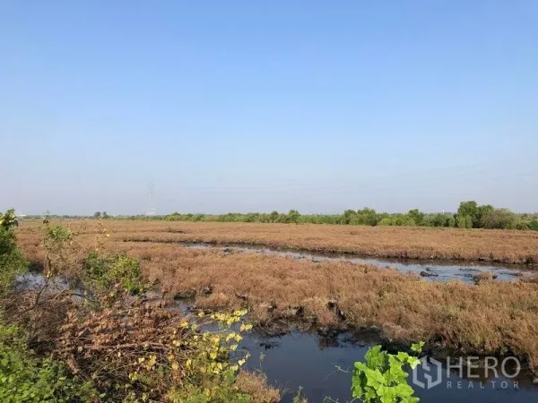 Land for sale in Mueang Samut Sakhon, Samut Sakhon - Wide flat plot with marsh channels and green tree line on the horizon in Mueang Samut Sakhon.