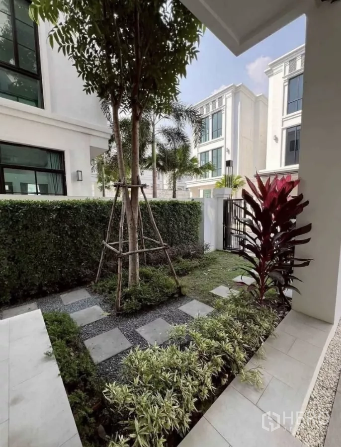 独立式住宅 出租在Lat Phrao, Bangkok - 小型景观花园，绿篱、踏步石与热带植物。
