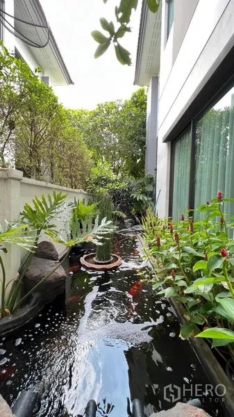 Detached House for rent or sale in Bang Khen, Bangkok - Narrow koi pond beside the house bordered by tropical plants and a window wall.