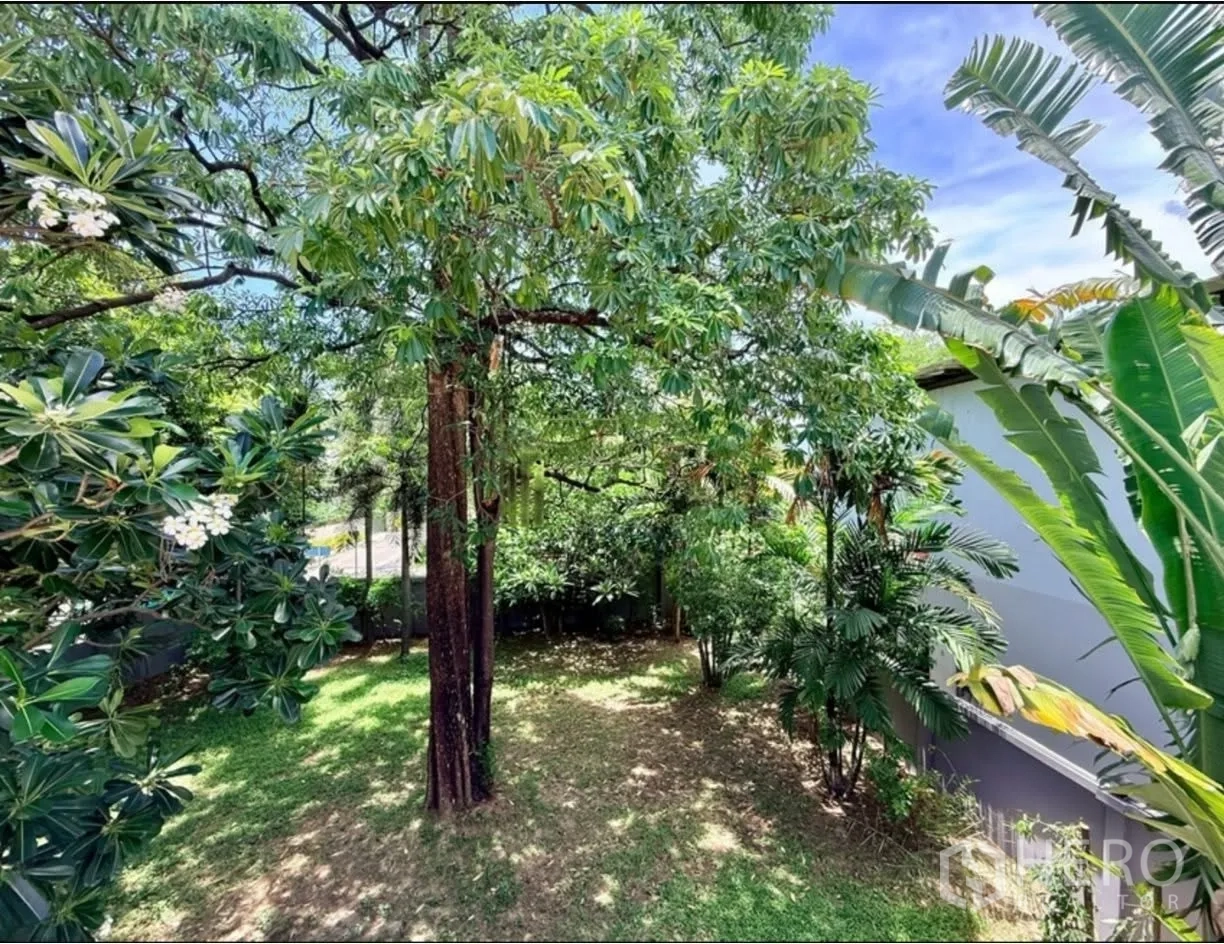 Detached House for rent in Phra Khanong, Bangkok - Shaded private garden with mature trees and lawn.