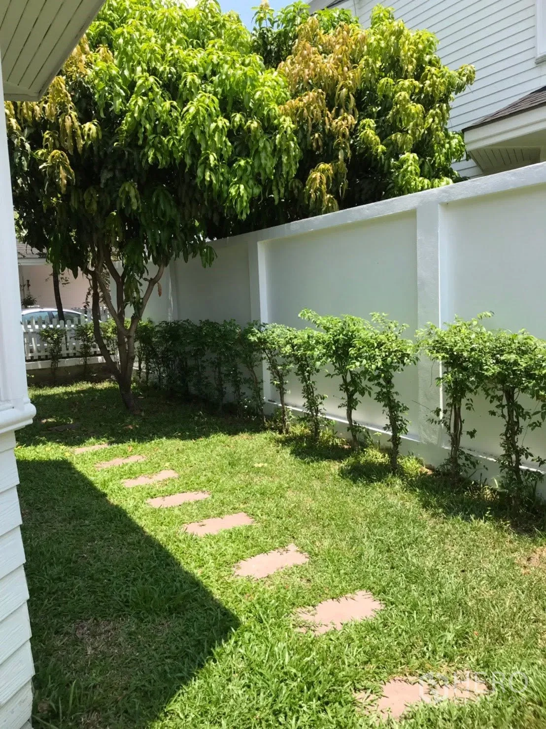 บ้านเดี่ยว for rent in Mueang Samut Prakan, Samut Prakan - สวนส่วนตัวหญ้าเขียว ทางเดินแผ่นทาง และต้นไม้ใหญ่