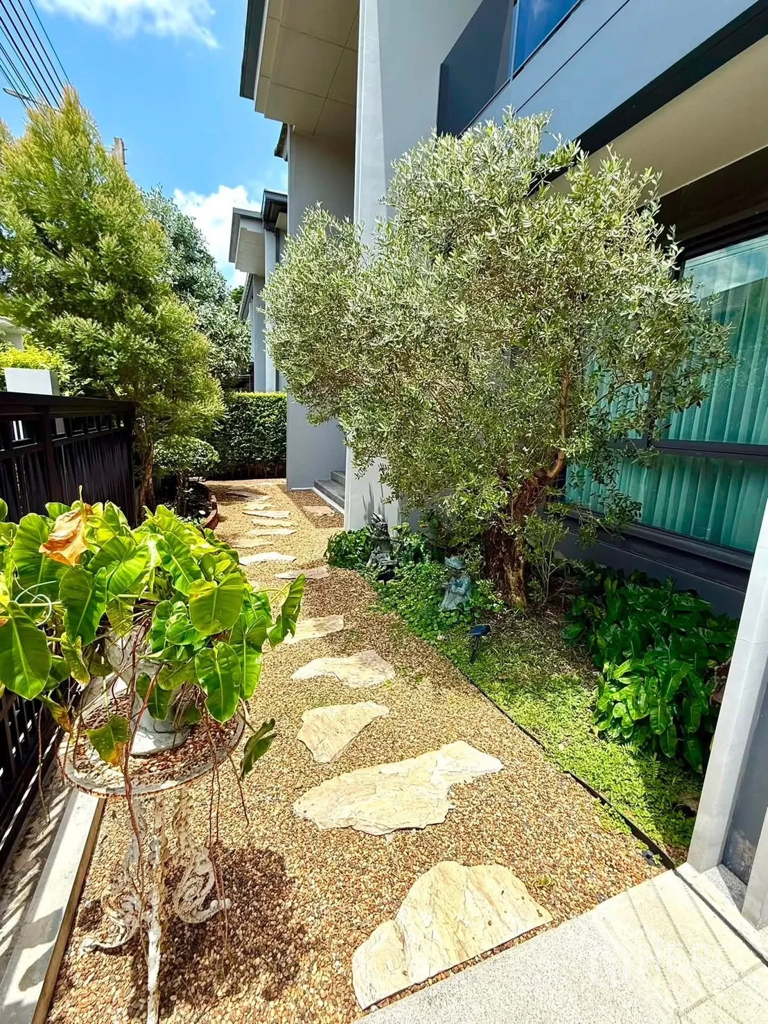 Detached House for rent in Bang Kapi, Bangkok - Side garden with gravel path, stepping stones, and mature trees.