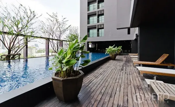 公寓 出租在Khlong Toei, Bangkok - 高层公寓无边泳池与木质日光平台、绿植与城市景观。