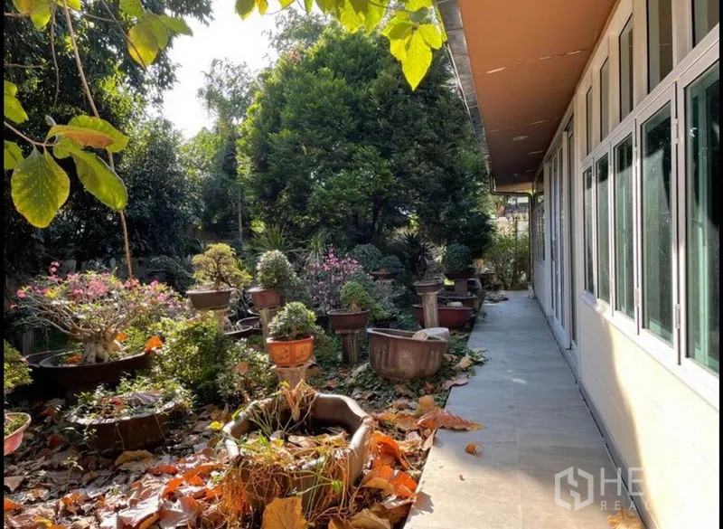 独立式住宅 出租在Khlong Toei, Bangkok - 沿屋步道，面向繁茂与开花的绿地景观。