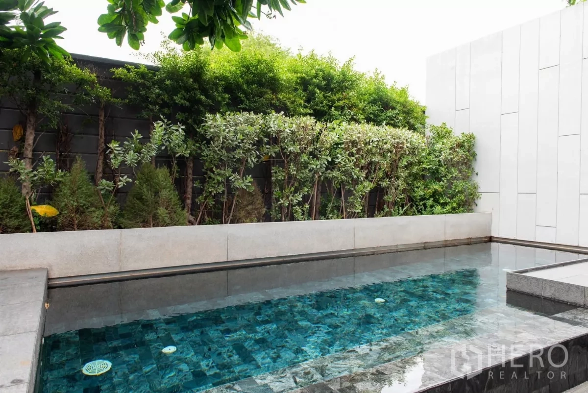 Townhouse for rent in Lat Phrao, Bangkok - Private plunge pool bordered by greenery and privacy walls.