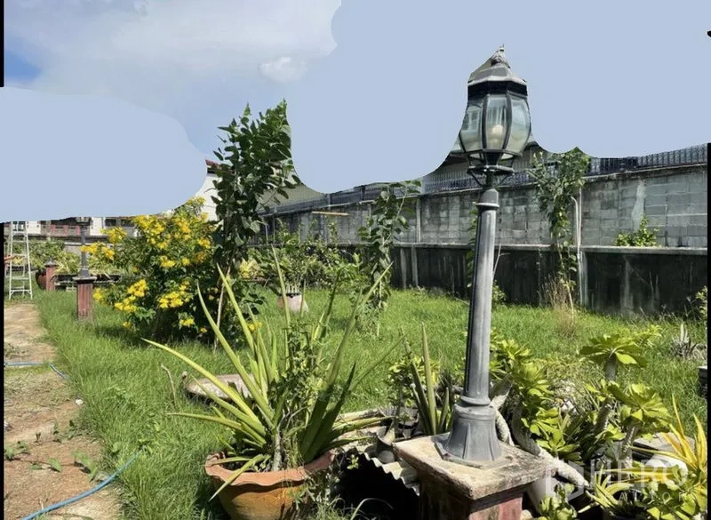 Land for sale in Suan Luang, Bangkok - Decorative lamp post among potted plants and lawn beside a concrete perimeter wall.
