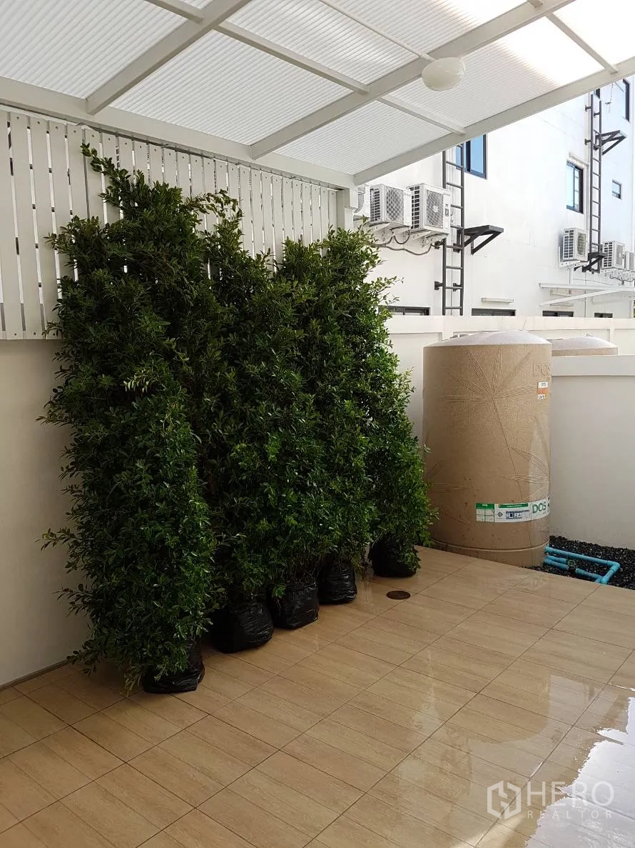 Townhouse for rent or sale in Saphan Sung, Bangkok - Covered back patio with tiled floor, potted shrubs and water tank.