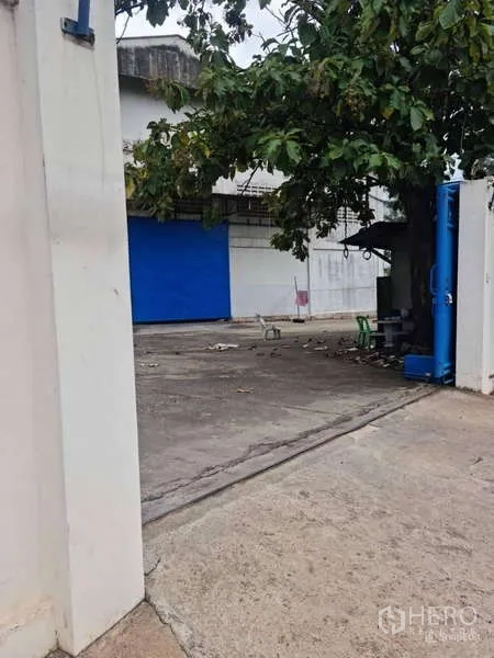 Warehouse for rent in Krathum Baen, Samut Sakhon - Gated warehouse entrance with wide concrete driveway and a blue roller door shaded by a large tree.