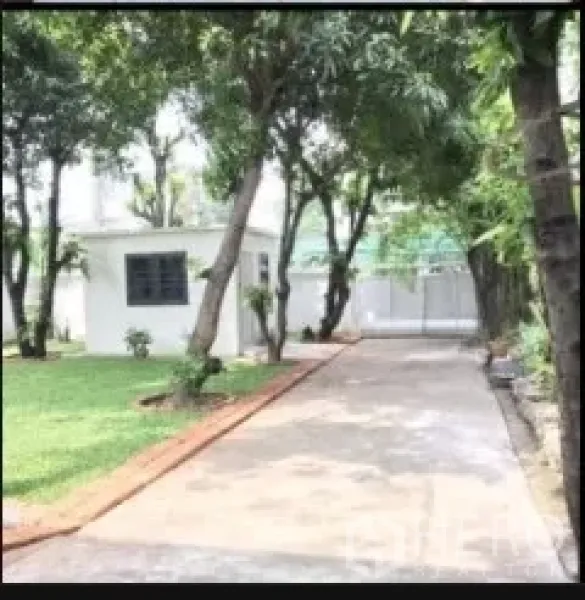 Detached House for rent in Phra Khanong, Bangkok - Shaded driveway leading to a gate with lawn and mature trees in a private garden.