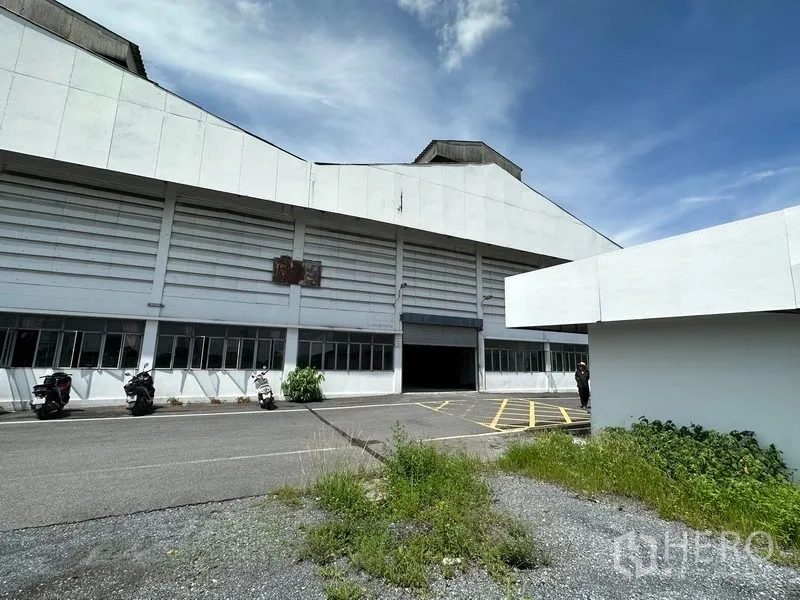 Warehouse for rent in Lam Luk Ka, Pathum Thani - Front yard of the warehouse with marked loading zone, wide access road, greenery, and the main roller-door entrance.