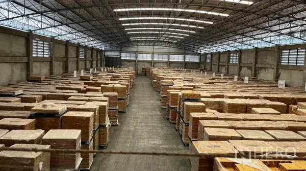 工厂 出租或出售在Pathum Thani - 仓内中央通道，两侧整齐堆放托盘货物