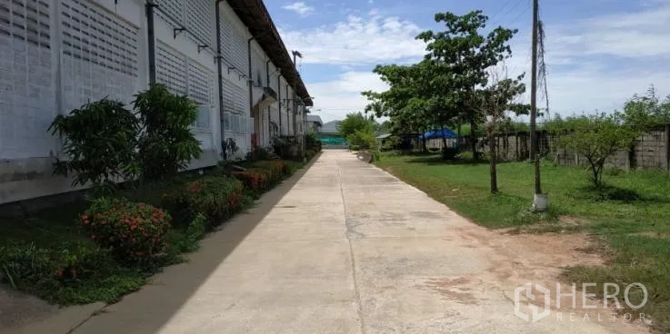 工厂 出租在Chachoengsao - 工厂侧面的混凝土步道，沿线有绿化与树木