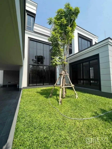 Detached House for sale in Saphan Sung, Bangkok - Green inner courtyard lawn with a newly planted tree surrounded by large glass windows.