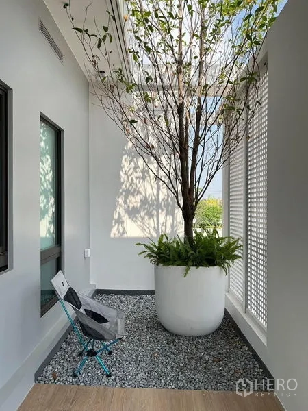 Detached House for rent or sale - Indoor courtyard with a large potted tree, perforated screen, and pebble flooring.