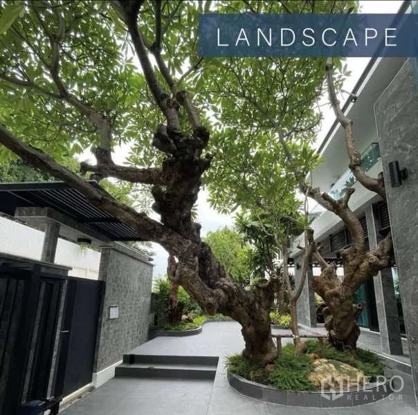 Detached House for sale in Khlong Toei, Bangkok - Landscaped courtyard with large frangipani trees and a paved path beside the house.