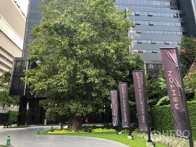 公寓 出租在Watthana, Bangkok - 公寓入口花园，绿树成荫与现代建筑立面