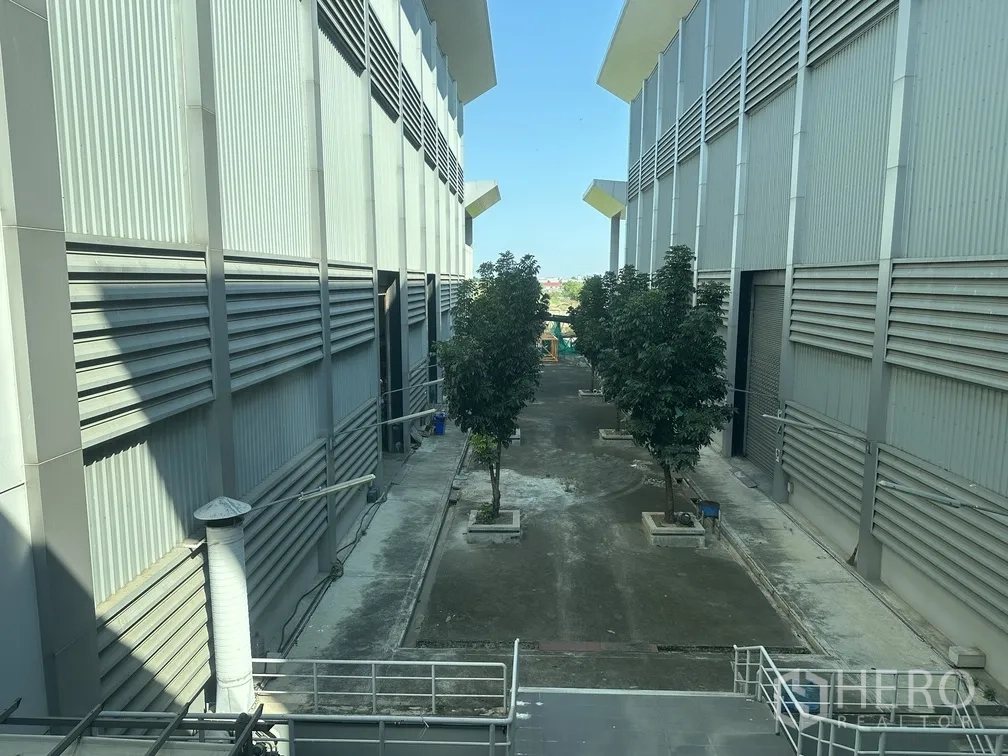 工厂 for rent in Lam Luk Ka, Pathum Thani - 两栋高跨厂房之间的树阵服务通道。