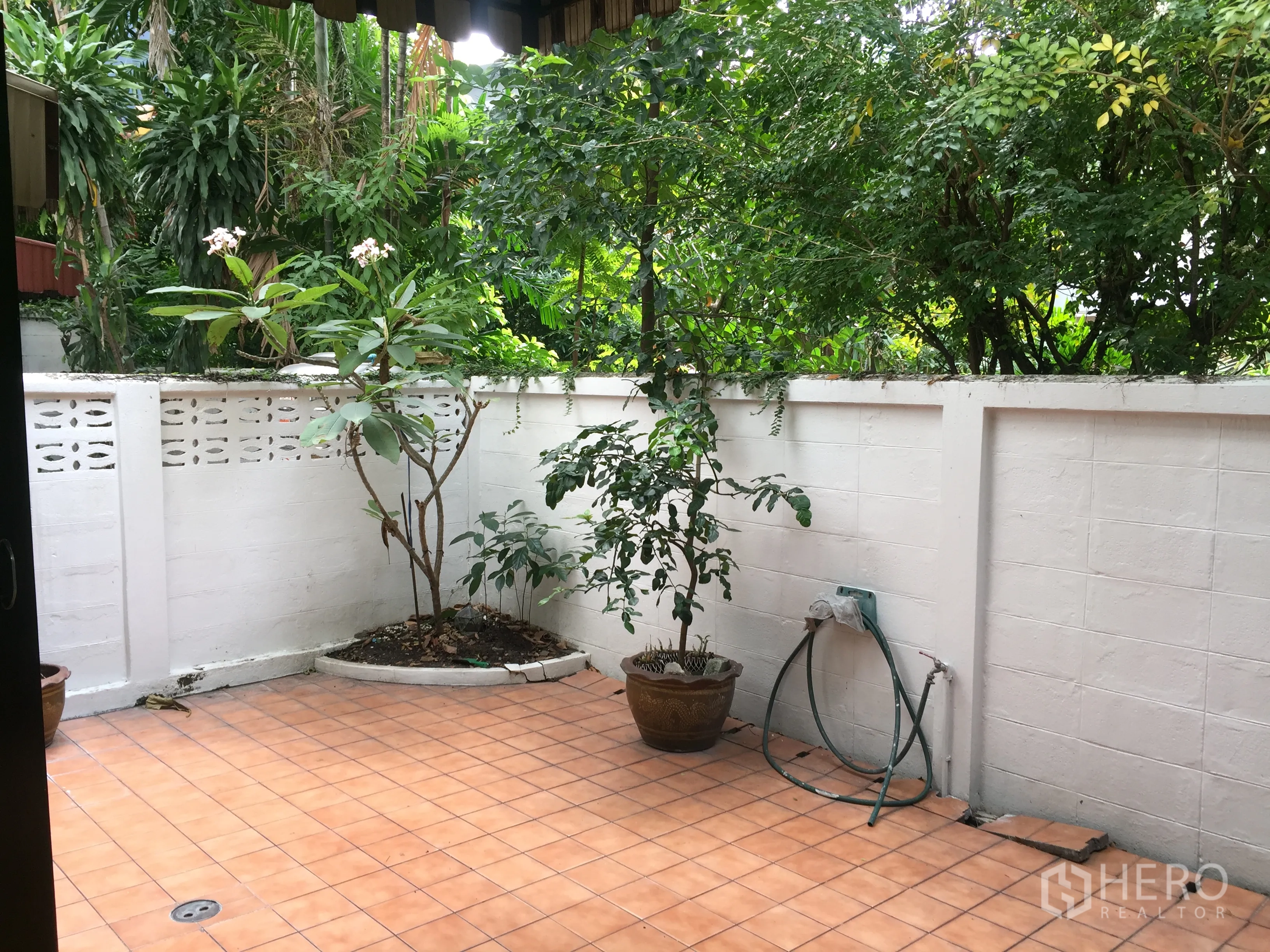 联排别墅 出租在Khlong Toei, Bangkok - 私家庭院铺砖，有花盆与白色围墙。