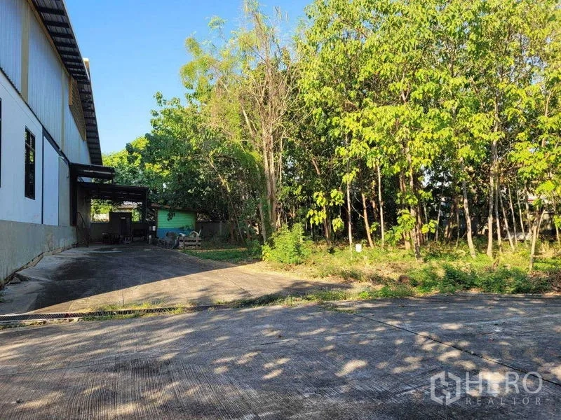 โรงงาน ขายในSaphan Sung, Bangkok - ลานด้านข้าง พื้นคอนกรีต ติดแนวต้นไม้ใหญ่ข้างโรงงาน