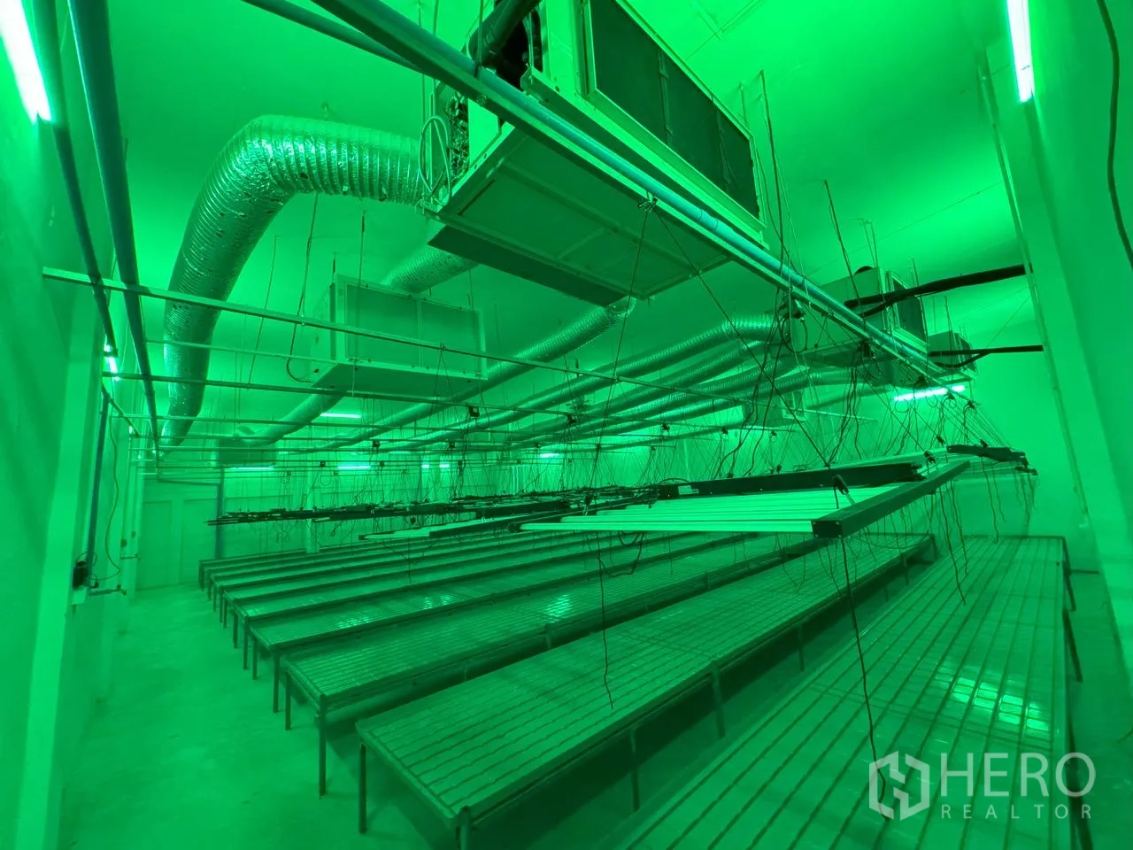 Warehouse for rent in Mueang Pathum Thani, Pathum Thani - Indoor cultivation room with suspended LED lighting, HVAC ducts, and metal plant benches.