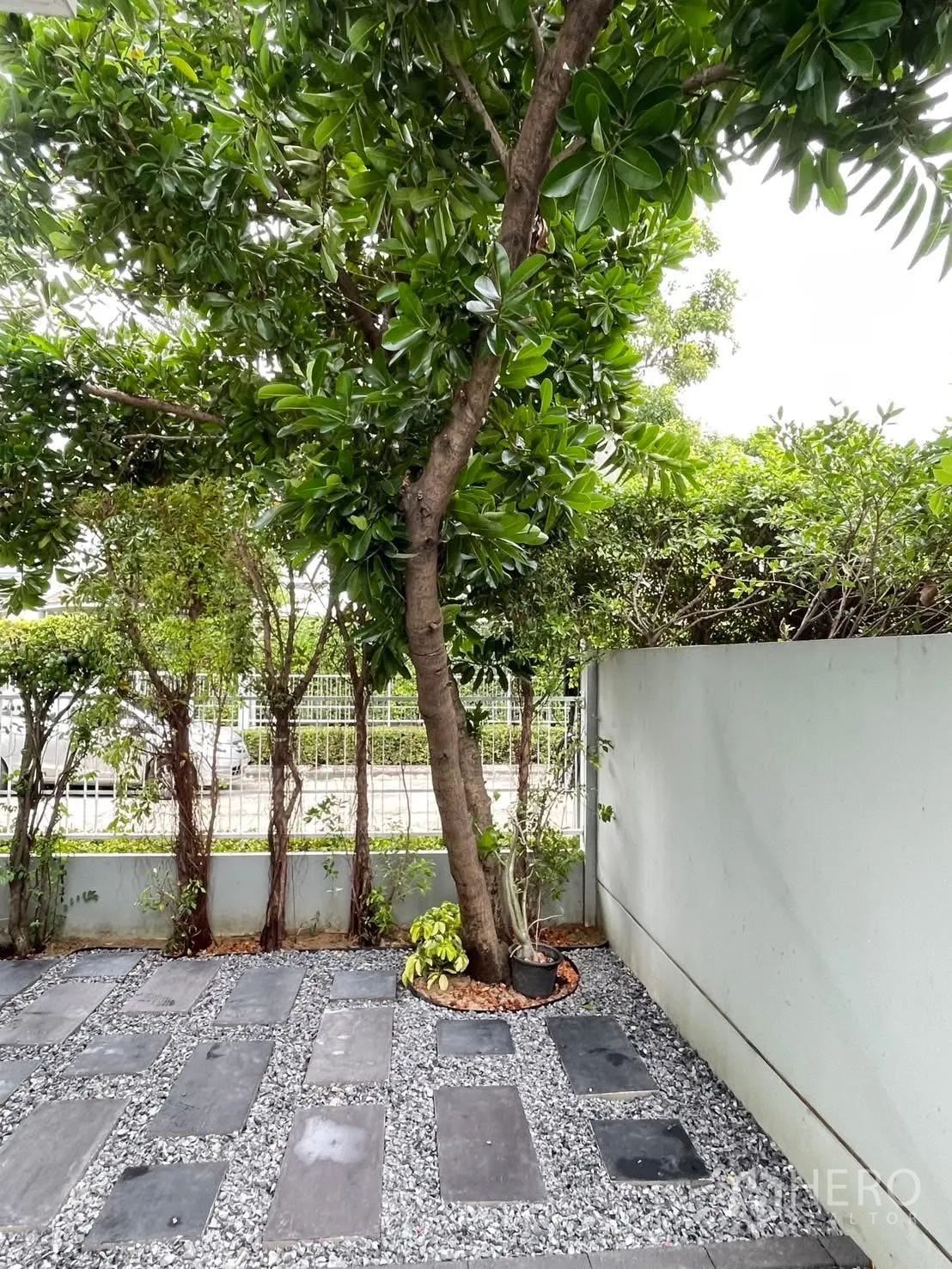 บ้านเดี่ยว for rent in Bang Phli, Samut Prakan - สวนมุมส่วนตัว มีต้นไม้ใหญ่ ทางเดินแผ่นศิลาและโรยกรวด