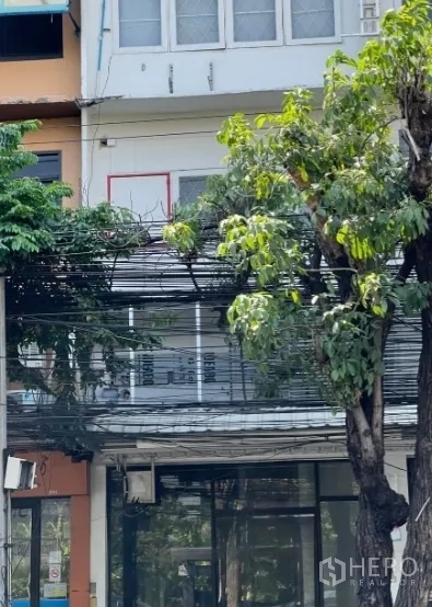 อาคารพาณิชย์ ขายในWatthana, Bangkok - ชั้นล่างเป็นหน้าร้านกระจกบานใหญ่ ใต้ร่มเงาต้นไม้ อาคารพาณิชย์เรียงแถว ใกล้ BTS พระโขนง