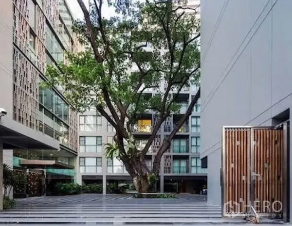 公寓 出售在Watthana, Bangkok - 现代公寓庭院，中间有参天大树与玻璃立面建筑。