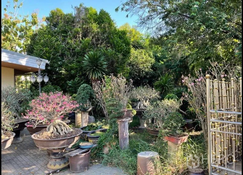 独立式住宅 出租在Khlong Toei, Bangkok - 茂密花园，摆放盆景与灌木，树荫浓密。