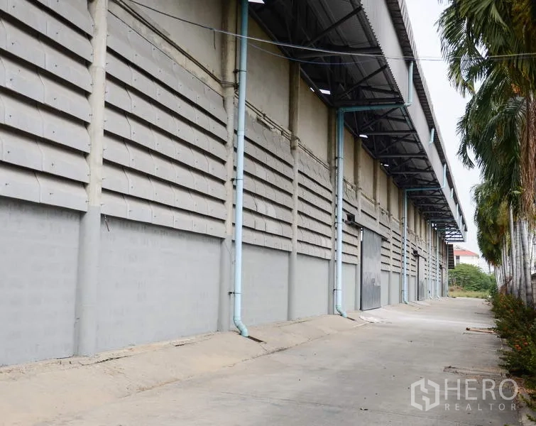 工厂 出租在Pathum Thani - 仓库侧立面，带雨棚装卸平台、排水管和车道，旁有棕榈树。