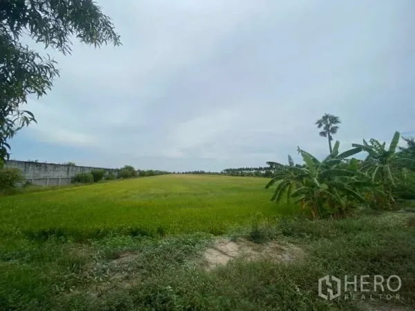 ที่ดิน ขายในBang Bua Thong, Nonthaburi - ทุ่งโล่งพร้อมต้นกล้วยริมแปลง และแนวต้นไม้ด้านหลังในนนทบุรี