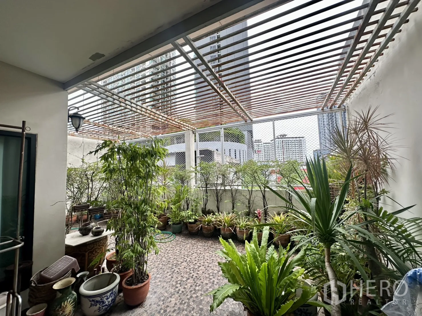 ตึกแถว for sale in Watthana, Bangkok - มุมดาดฟ้ารายล้อมด้วยไม้กระถางและวิวสกายไลน์.