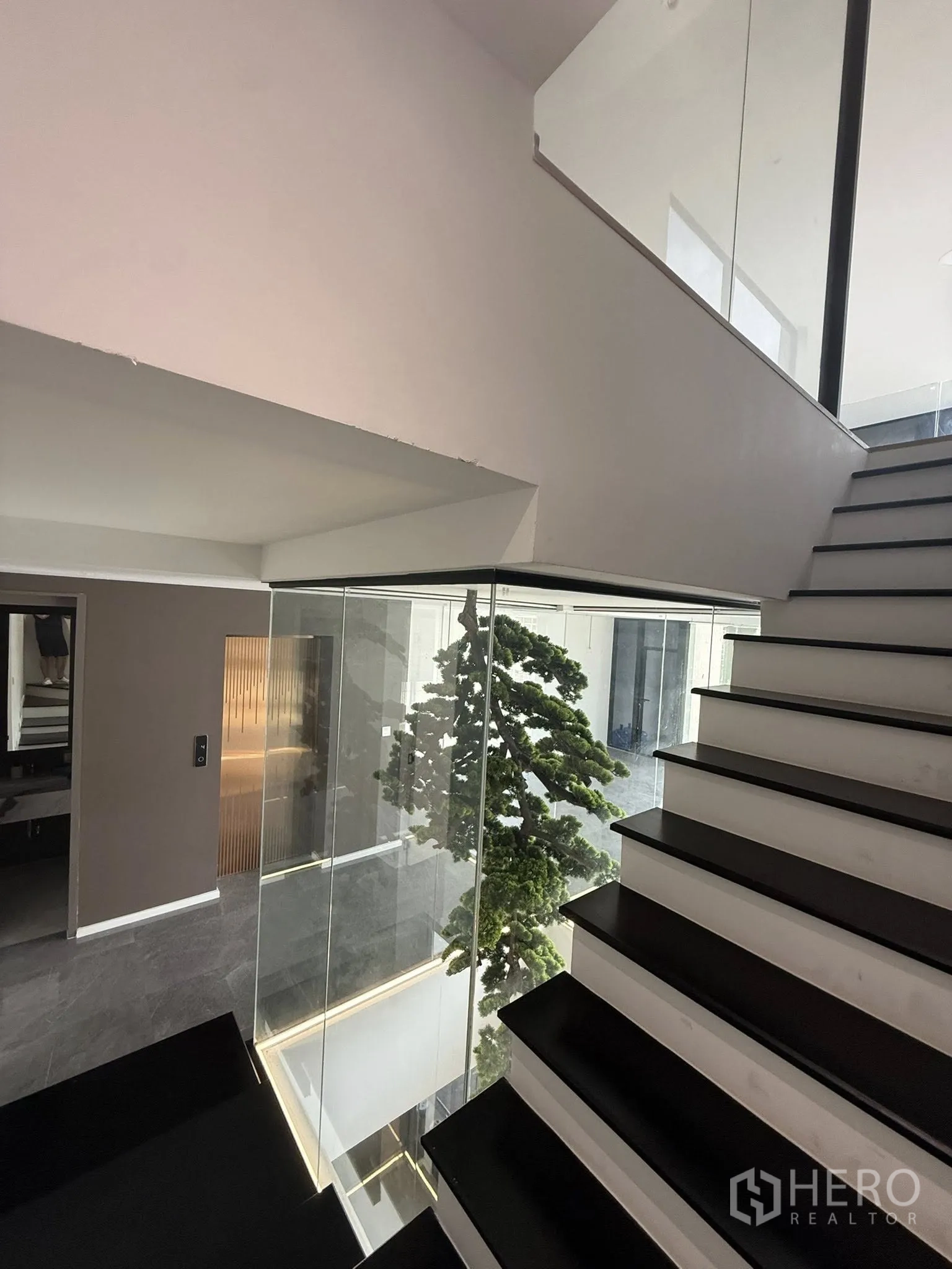 带办公室的家 出租或出售在Lat Phrao, Bangkok - 楼梯旁玻璃墙与室内天井，点缀高大绿植。