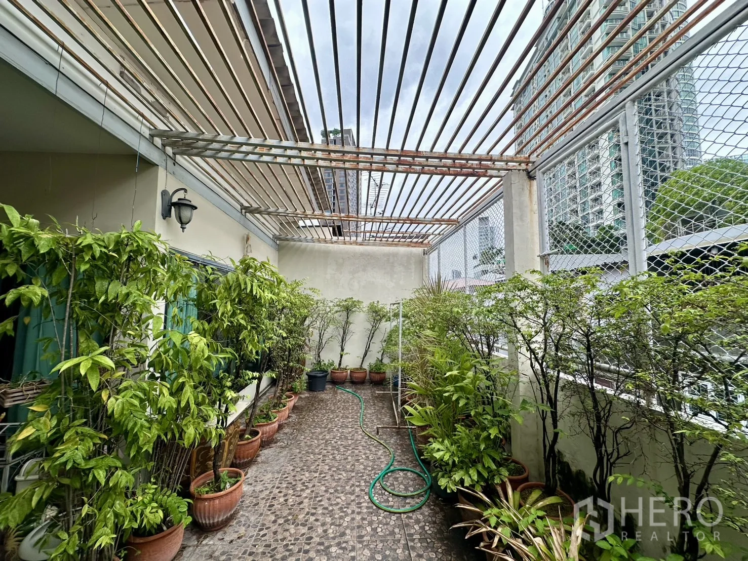 ตึกแถว for sale in Watthana, Bangkok - ระเบียงสวนมีต้นไม้กระถาง ใต้เพอร์โกลา มองเห็นอาคารเมือง.