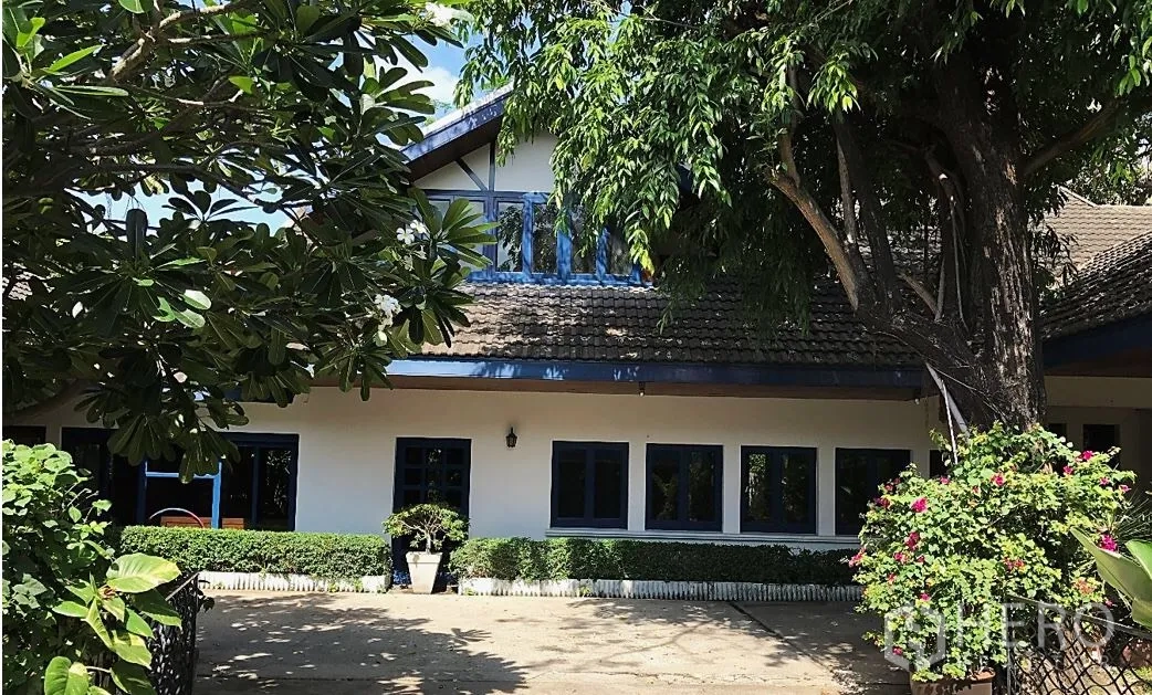 独立式住宅 出租在Khlong Toei, Bangkok - 被大树环绕的独栋房屋外观，山墙屋顶与蓝色窗框。