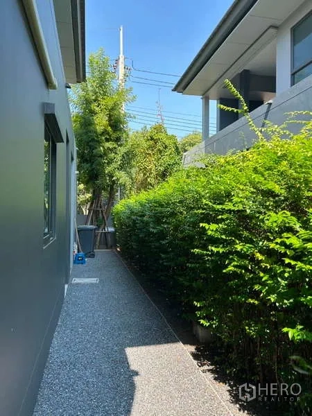 Detached House for rent in Bang Kapi, Bangkok - Side yard pathway bordered by green hedges beside the house.