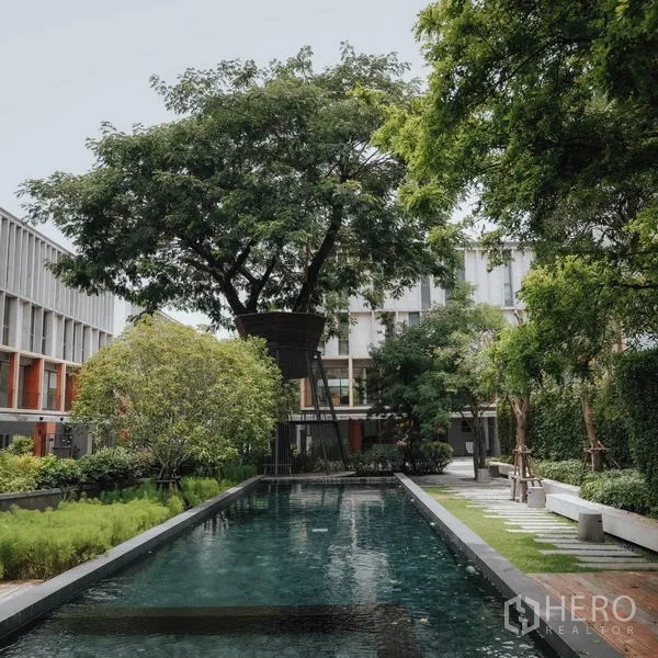 Townhouse for rent - Communal lap pool surrounded by mature trees and landscaped garden
