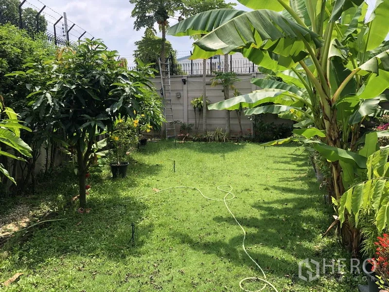 独立式住宅 出租在Suan Luang, Bangkok - 后院草坪，周围是热带植物和果树