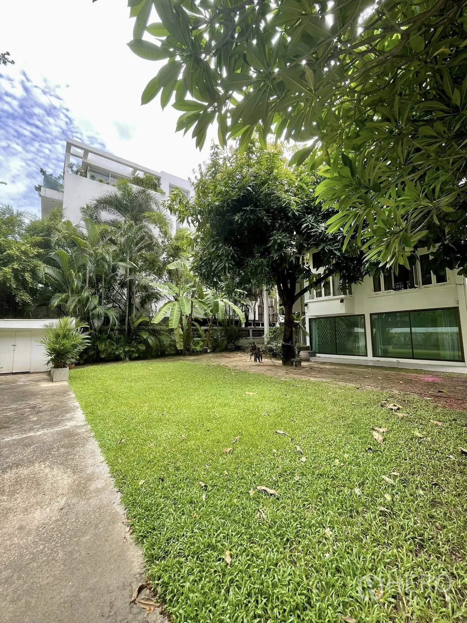 Detached House for rent in Pathum Wan, Bangkok - Large grassy garden shaded by tropical trees beside the house.