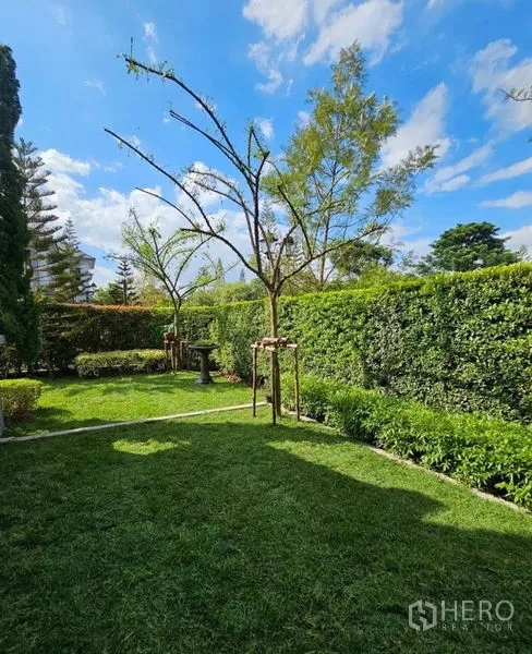 Detached House for rent or sale in Saphan Sung, Bangkok - Sunlit backyard lawn with trees, hedges and a paved walkway.