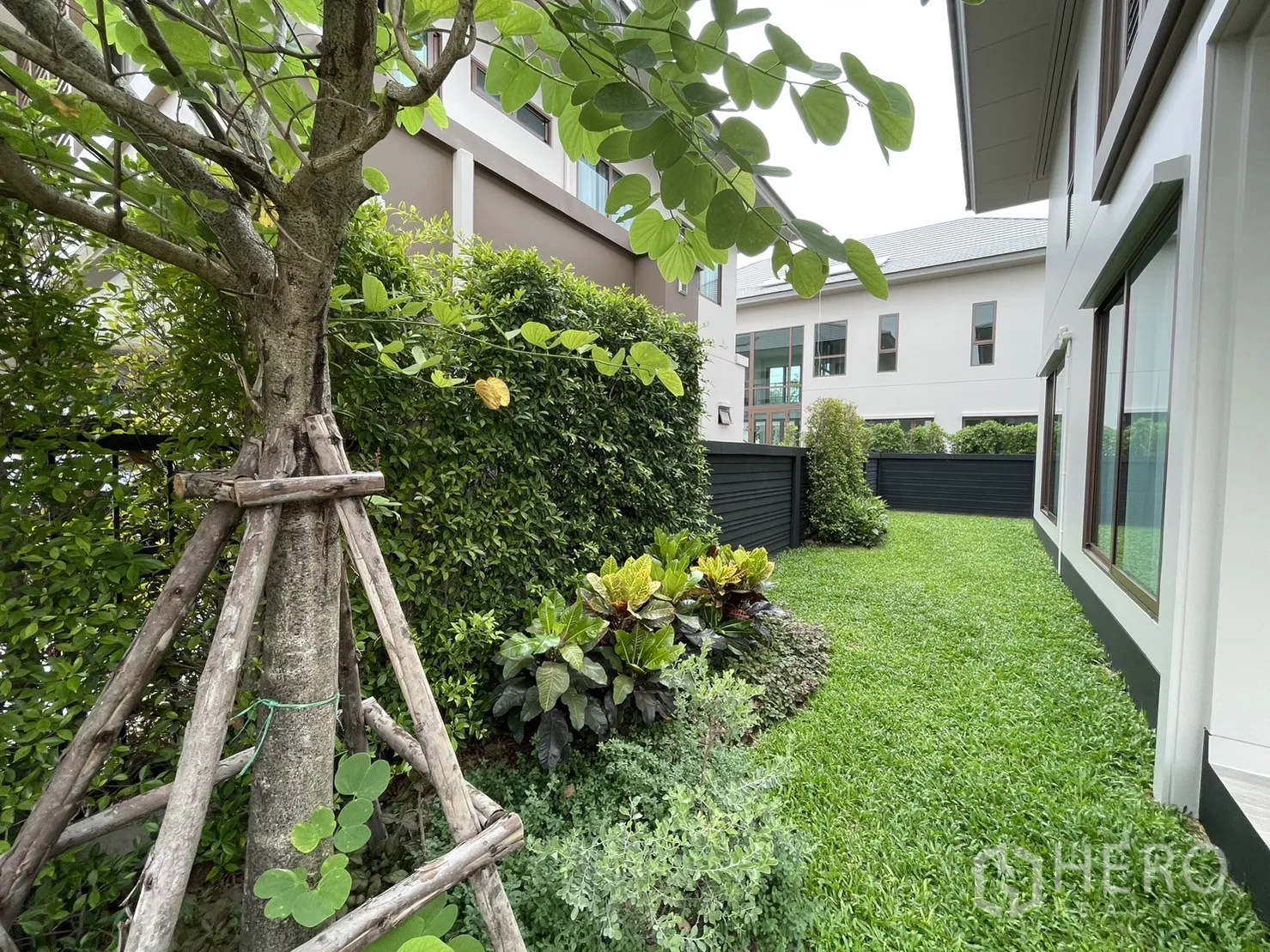 Detached House for rent in Bang Kapi, Bangkok - Lush garden corner with mature tree, hedges, and shrubs.