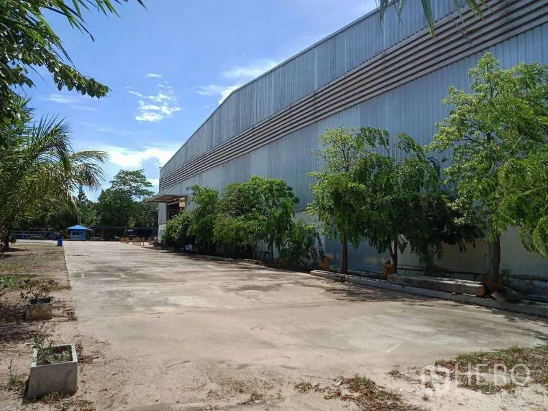 Factory for sale in Chachoengsao - Tree-lined service lane running along the side of the metal factory building.