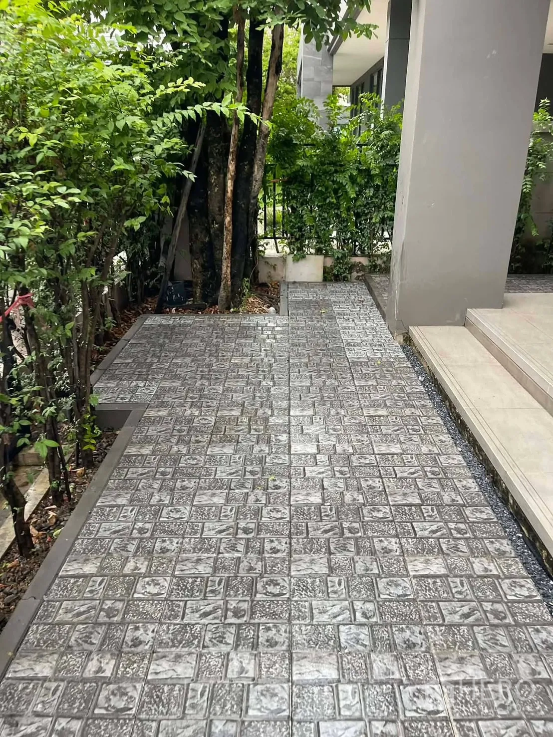 Detached House for rent in Saphan Sung, Bangkok - Front garden with mature tree, hedges and tiled path to the porch.