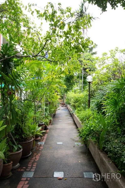 ทาวน์เฮาส์ ให้เช่าในKhlong Toei, Bangkok - ทางเดินสวนร่มรื่น เรียงรายด้วยกระถางต้นไม้และไม้พุ่ม