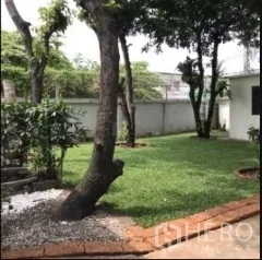 Detached House for rent in Phra Khanong, Bangkok - Lawn garden with brick path, landscaped trees and a boundary wall.