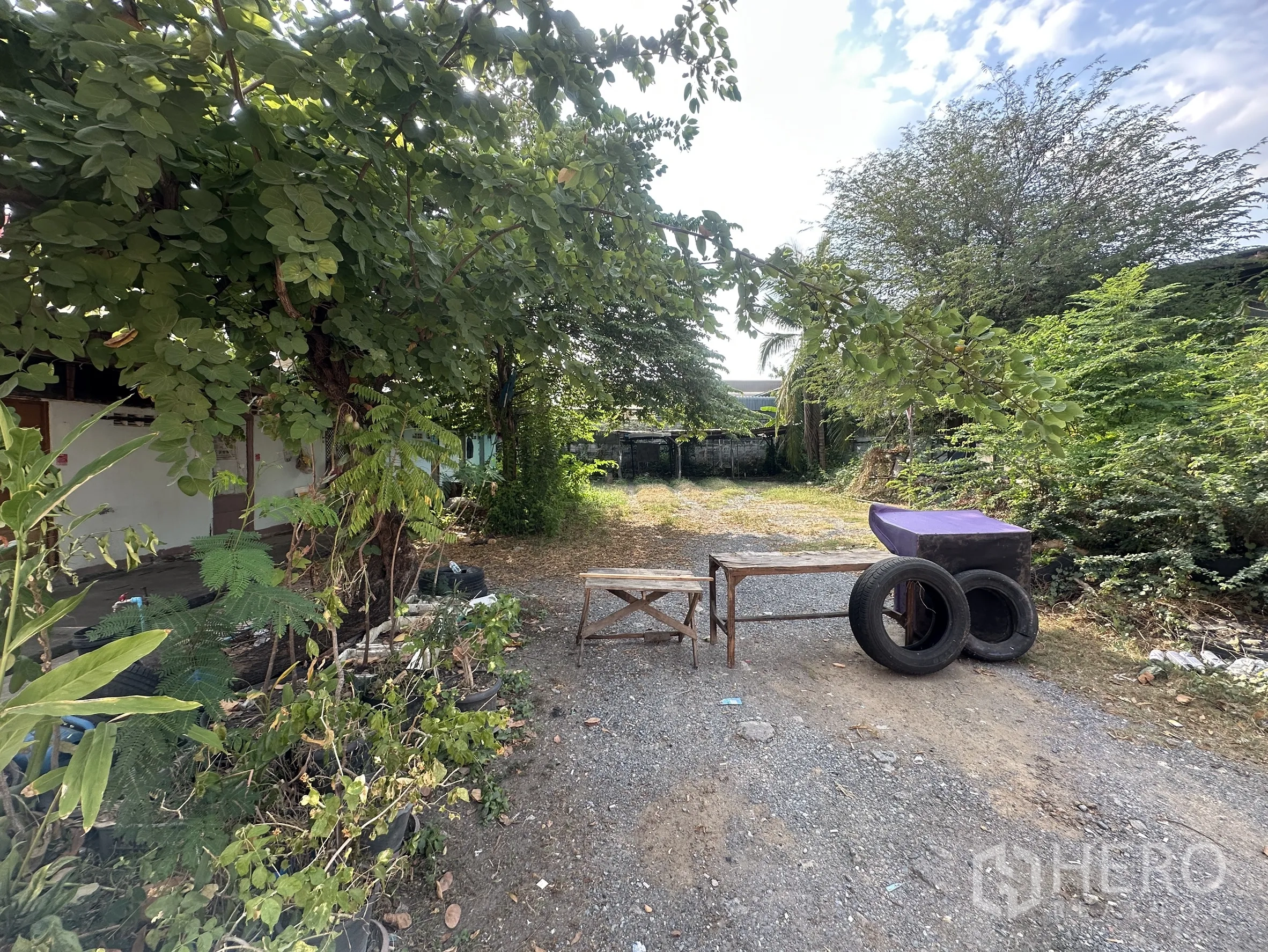Warehouse for rent in Lam Luk Ka, Pathum Thani - Outdoor gravel yard with trees providing shaded space beside the building.