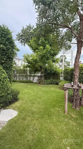 Detached House for rent in Bang Phli, Samut Prakan - Green corner garden with trees, hedges, and an open grass area.