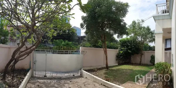 บ้าน ให้เช่าในKhlong Toei, Bangkok - สวนหน้าบ้านพร้อมสนามหญ้า ต้นไม้ และทางรถยนต์ส่วนตัวของบ้านให้เช่าในสุขุมวิท
