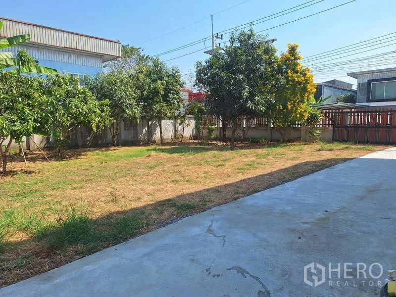 货栈 出售在Pathum Thani - 带树木的开放庭院与混凝土车道，位于围合用地内。